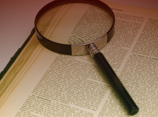 Asset Investigation and Enforcement Proceedings